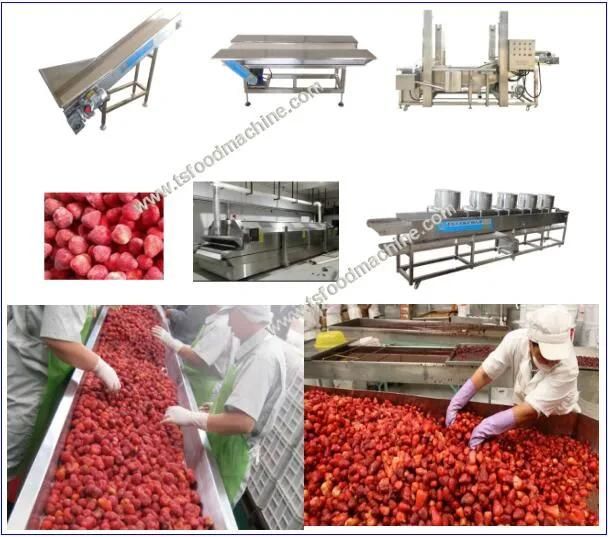 Strawberry Machine Pre-Processing Line Quick Frozen Strawberry Processing Production Line