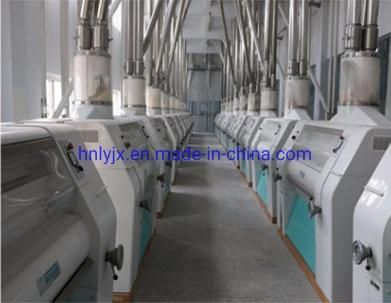 2021 New Complete Set Wheat Flour Mill Line