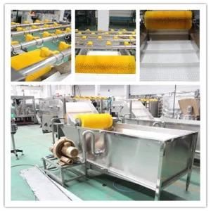 Manufactured Fruit Vegetable Washing Equipment