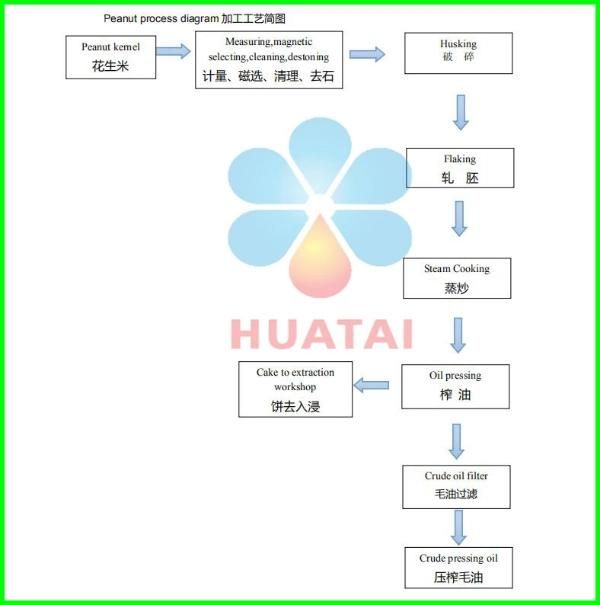 Popular Different Edible Oil Expeller Oil Mill of Peanut Oil Project in Cango