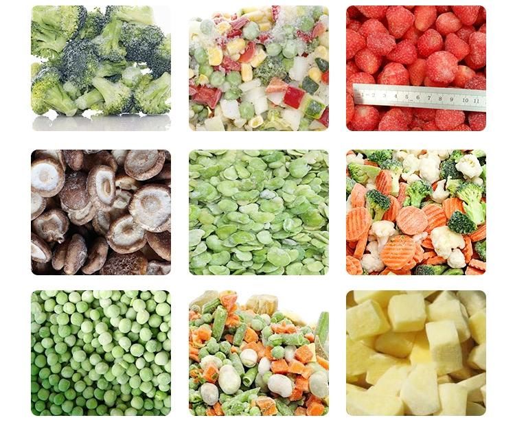 Quick Freezing Processing Machine Frozen Vegetable and Fruit Production Line