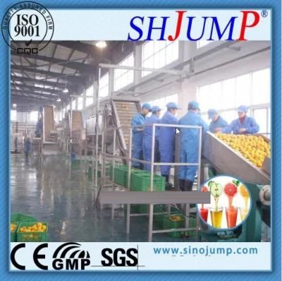 Professional Supplier of Passionflower Juice Machine Plant Processing Line