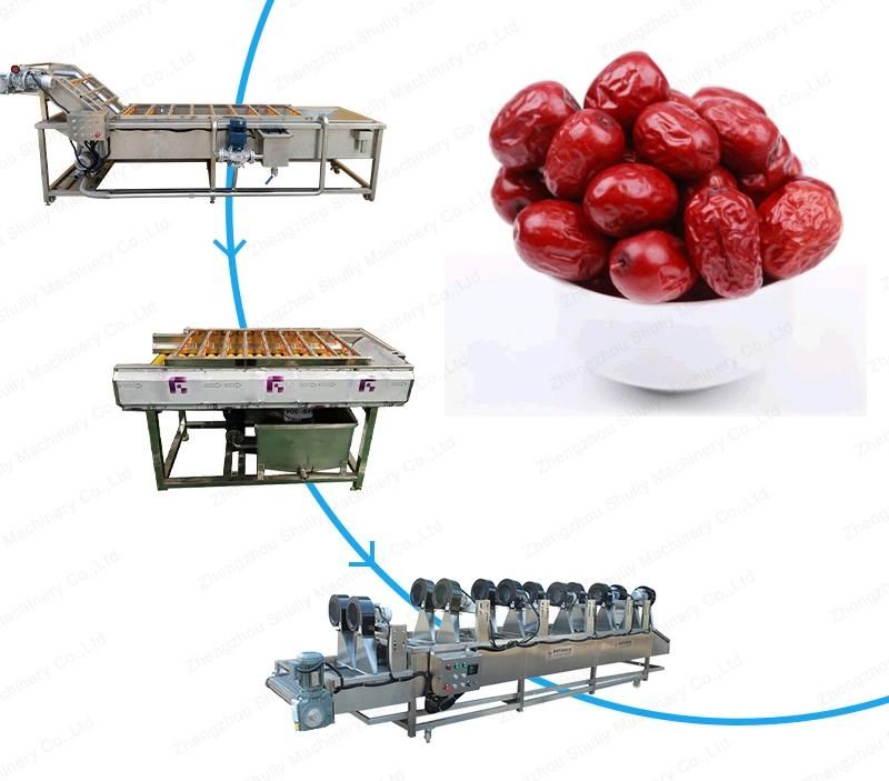 High Effective Fresh Date Fruit and Vegetable Cleaning Dryer Machine