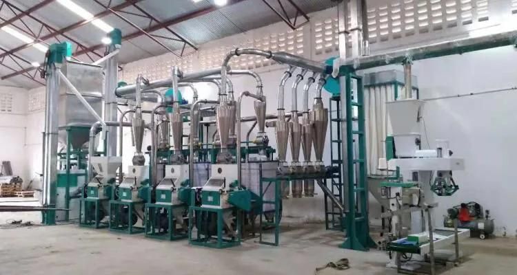 Tanzania Maize Flour Milling Machine Mill Maize Into Sembe Dona