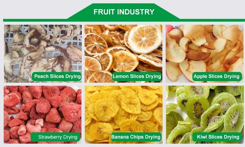 Hot Air Circulation Food Dehydrator Fruit Drying Machine Price