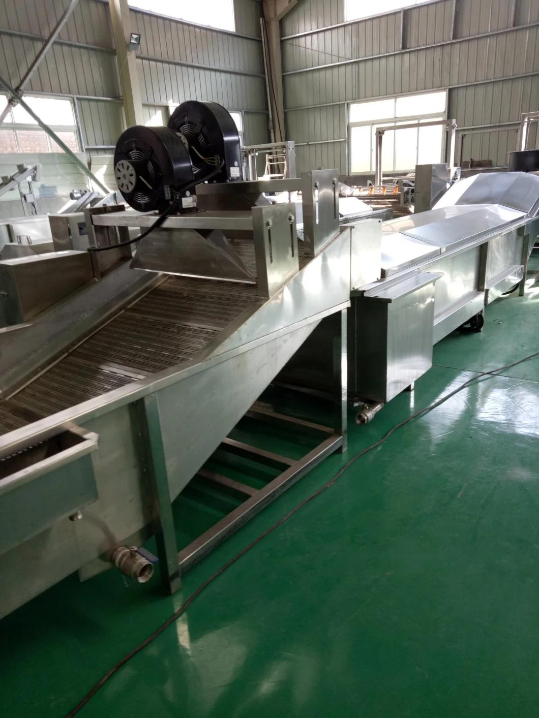 Vegetable Fruit Food Washing Processing Machine