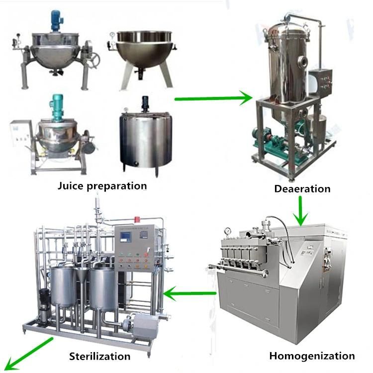 Automatic Complete Mango Juice Equipment