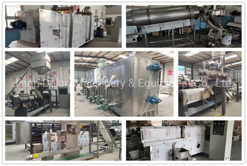 100-500kg/H Animal Pet Food Fish Feed Extrusion Production Line