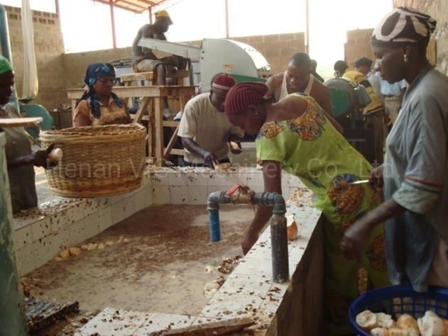 200kg/h Cassava starch processing machine line