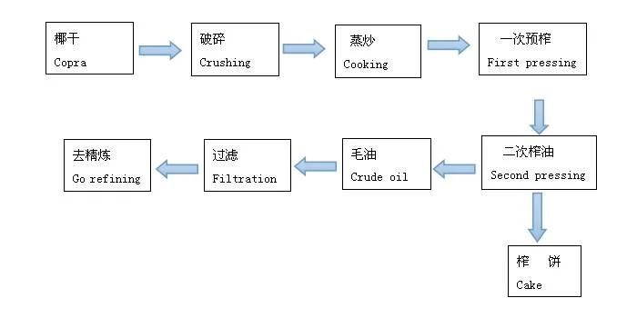 Dried Coconut Kernel Oil Extract Machine and Rbd Line