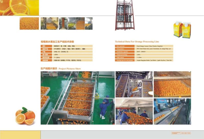 PET Bottle Mixed Fruit and vegetable Juice Production Equipment (1-40TPH)
