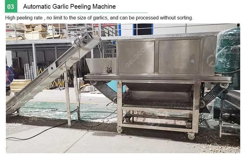 Automatic Chain Type Garlic Separating Peeling Machine Line