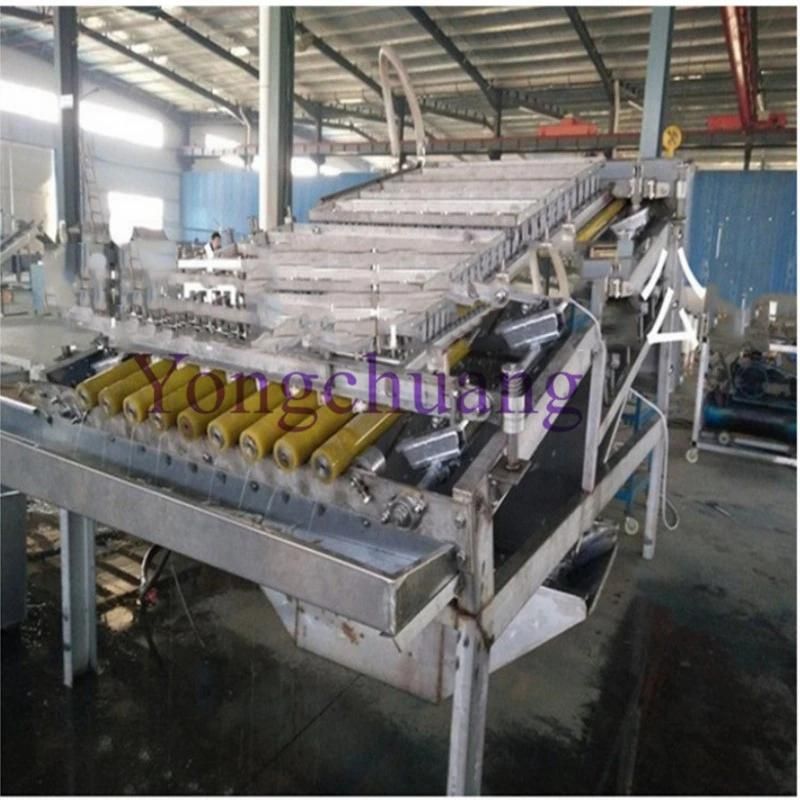 Automatic Shrimp Peeling and Deboning Machine