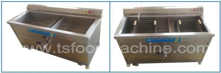 Fruit Vegetable Wash Machine and Washing Machine with Ozone Generator