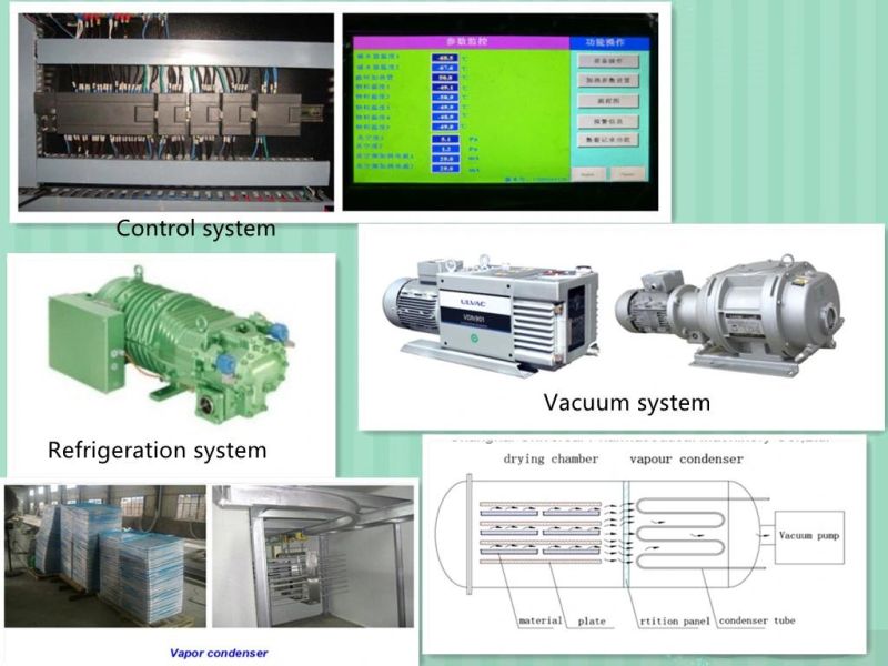 Jdg-20 Food Vegetables Freeze Dryer