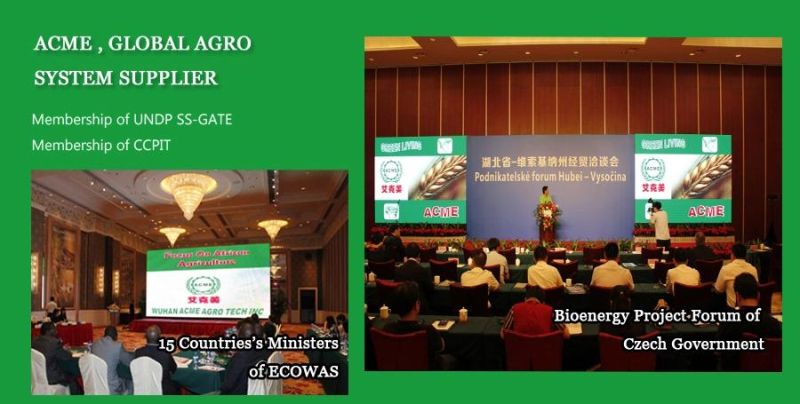 Made in China High Efficiency Olive Sesame Soybean Sunflower Seed Oil Hot Cold Pressing Machine Price for Sale