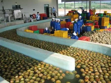 Fruit Puree/Vegetable Puree/Infant Supplementary Food Processing Machine/Production Equippemt