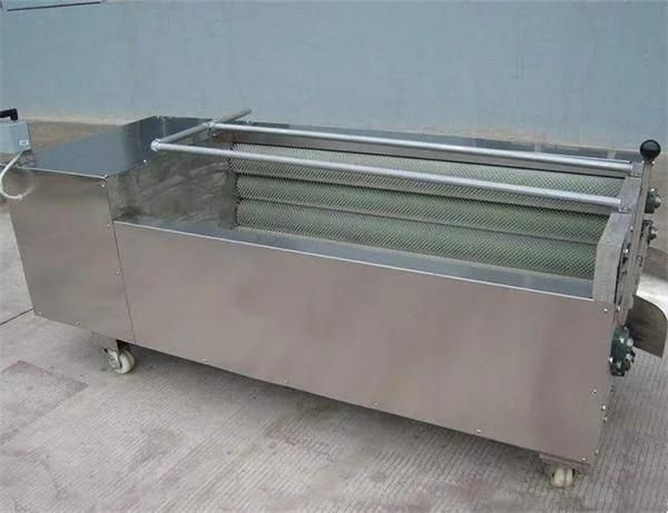 Root Vegetable Brush Washer Machines Onion Peeling Machine