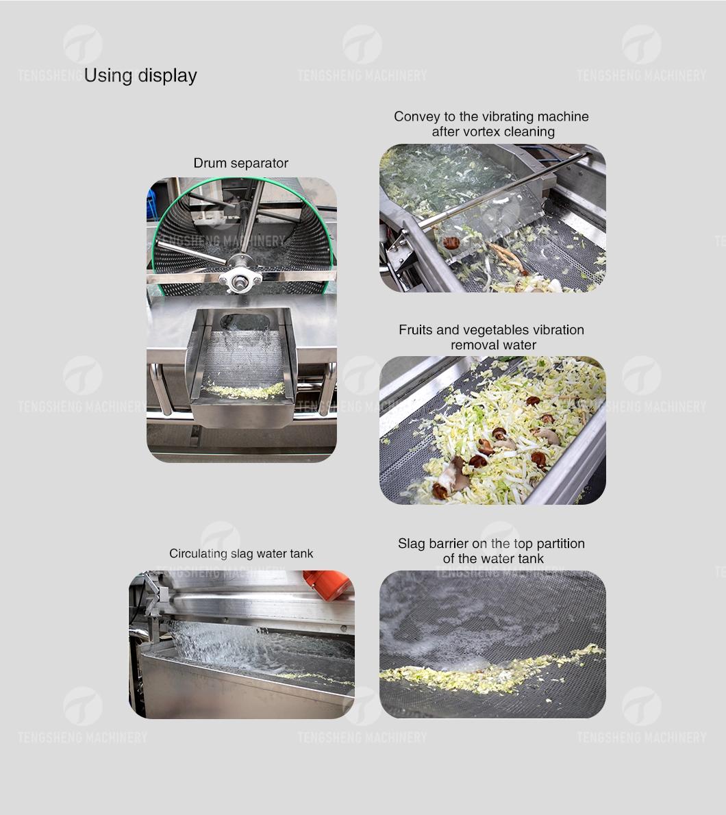 Commercial Fruit and Vegetable Processing Line Food Processor Equipment Fruit Vortex Washer Potato Chip Ginger Industrial Washing Machine Chilli Cleaner