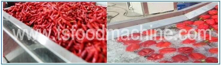 Tomato Washing Machine and High-Pressure Spray Washer Machine