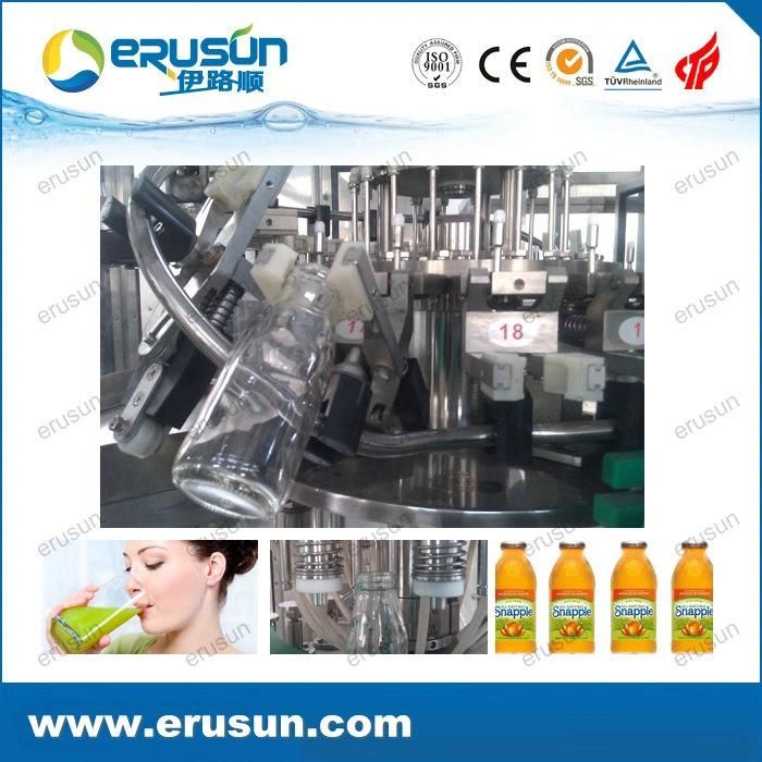 Fruit Juice Rinser Filler and Capper 3 in 1 Machine