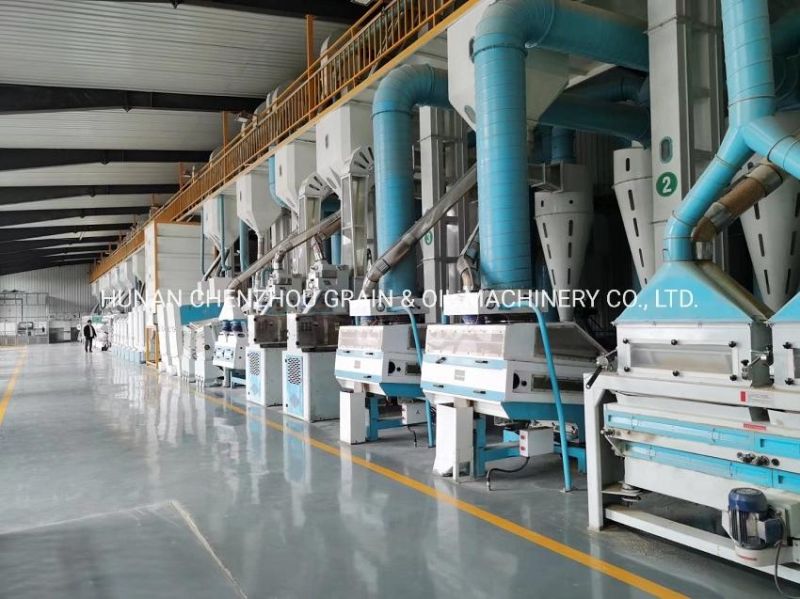 Clj Brand New Rice Processing Machine Tqlm Rotary Paddy Rice Cleaning Machine Rice Cleaner