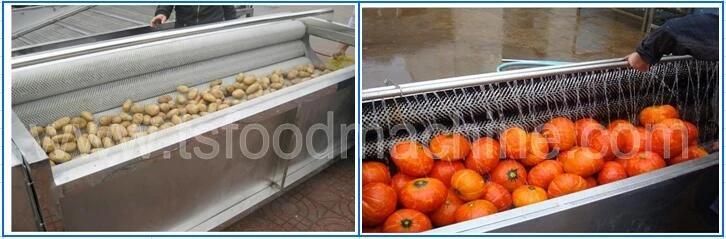 Continuous Discharge Spiral Onion Potato Ginger Peeler and Peeling Machine