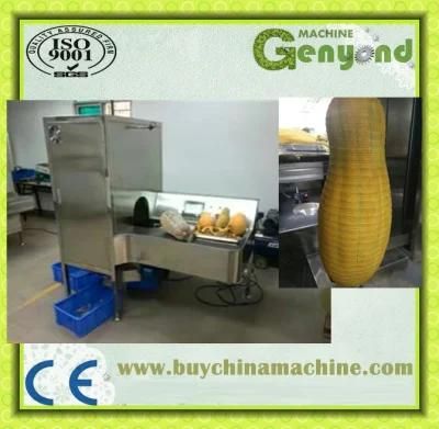 Jiashi Melon Peel Machine Peeler Skiving Machine