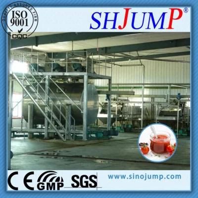 Pumpkin Powder Processing Machine/Powder Processing Machine