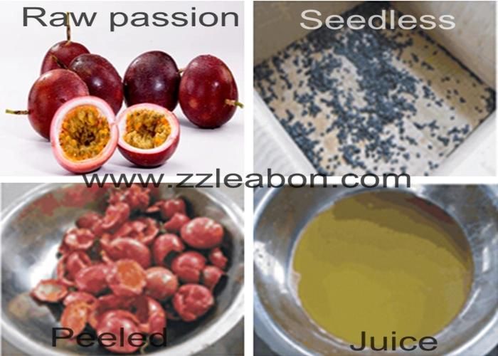 Factory Directly Sale Passion Uesed 300-500kg/H Fruits Juice Processing Machine