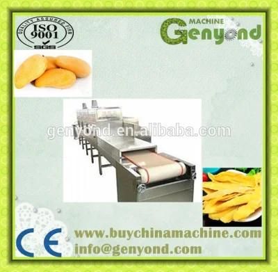 Top Quality Complete Mango Drying Plant