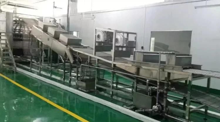 Automatic Instant Noodle Machine/Industrial Non-Fried Instant Ramen Noodle Processing Line/Cereal Flour Instant Noodle Plant