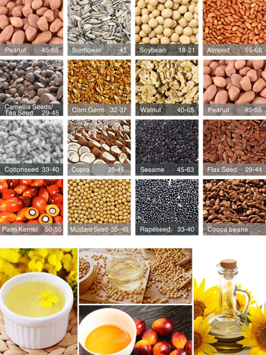 Coconut Sunflower Mustard Peanut Soybean Oil Extraction Machine