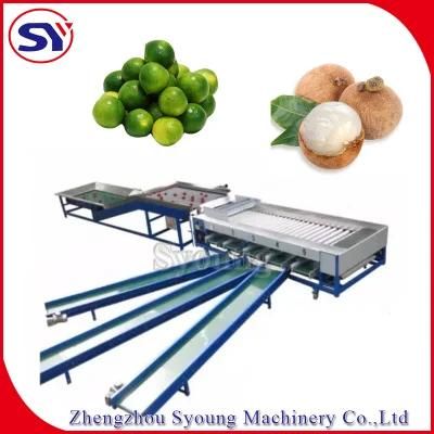 Sugar Orange Avocado Fruit Sorting Grading Machine