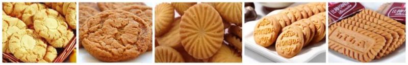 Continuous Small Biscuits Making Shaping Crackers Cookies Moulding Machine