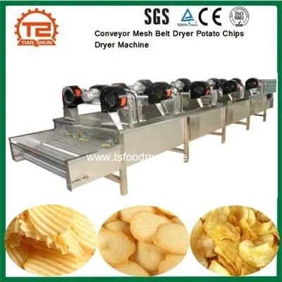 Food Drying Equipment Conveyor Mesh Belt Dryer Potato Chips Dryer Machine