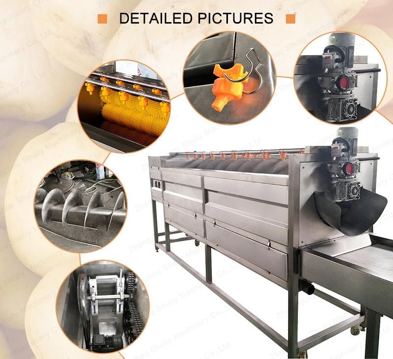 Brush Roller Potato Cleaning and Peeling Washing Processing Machine