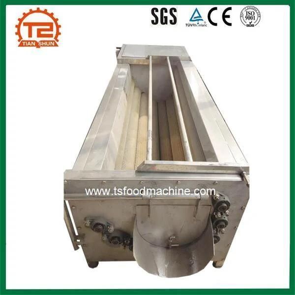 Vegetable Washer Tsxm-15 Pumpkin Brush Washing Machine