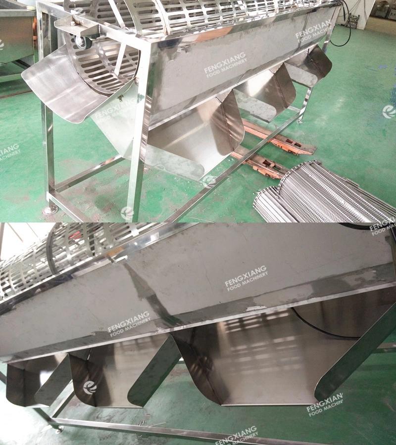 Spiral Olive Different Size Grading Machine, Cherry Tomato Screw Sorter