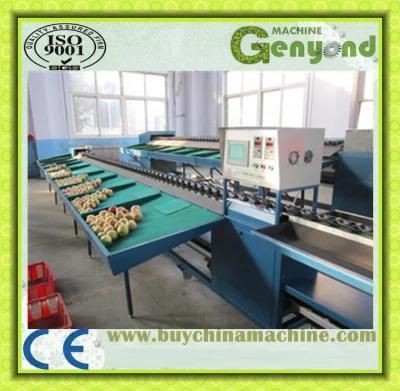 Hot Sale Commercial Fruit Weight Sorter