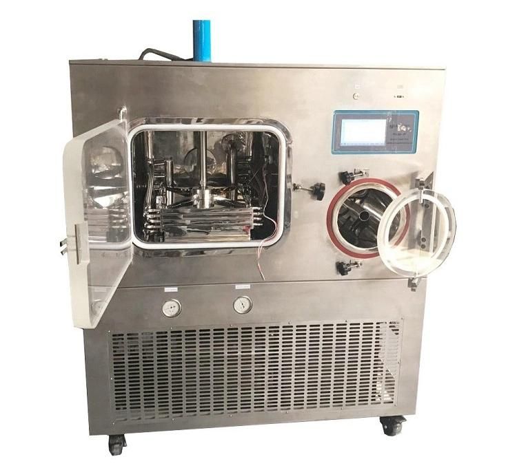 Full Automatic Fd-10 Lyophilization Machine Fruit and Vegetable Lyophilizer/Freeze Dryer