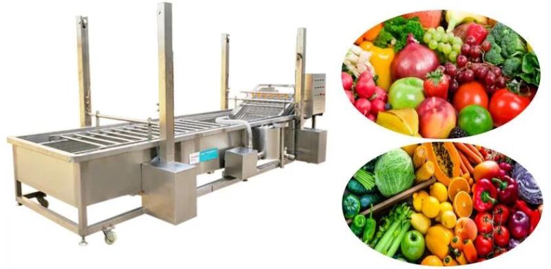 Vegetable and Fruit Bubble Washing and Cleaning Machine