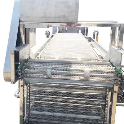 Customized Fruit and Vegetable Washing and Drying Machine