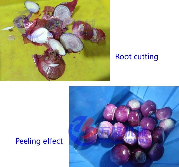 Automatic Onion Root Cutting Machine Onion Cutter Machine and Skin Peeling Machine