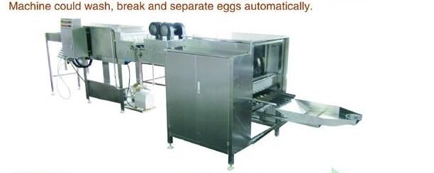 Rotary Type Yolk and White Separating Commercial Egg Breaking Machine