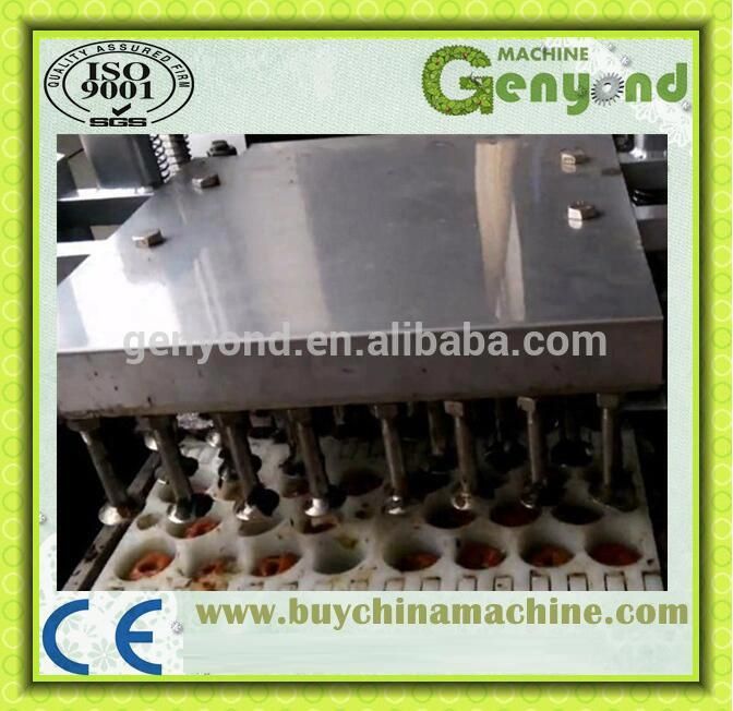 Fruit Core Removing Machine Fruit Pitter