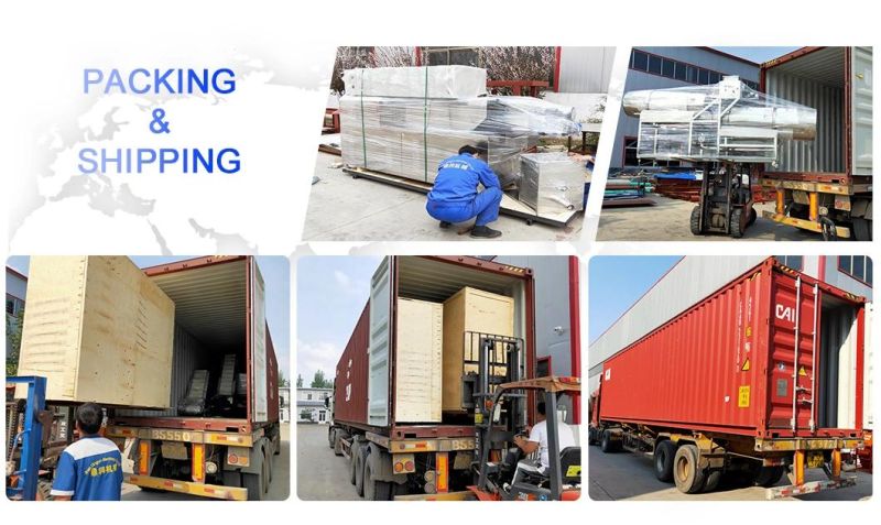 100 250 500 1000 Kg/H Dog Cat Food Producing Dry Pet Food Equipment Animal Feed Processing Plant Production Making Extruder