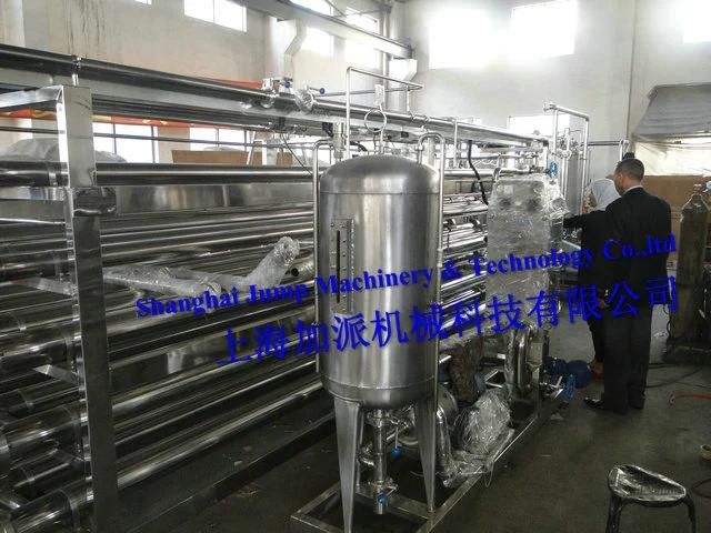Double Head Aseptic Fruit Pulp Packing Machinery