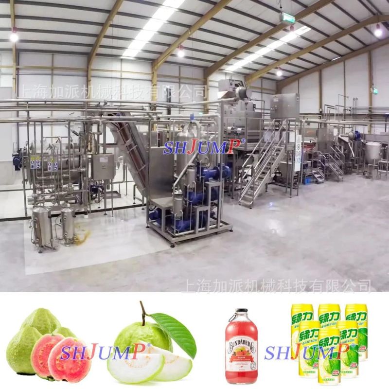 Guava Juice Processing Equipment/Guava Constrate Puree Jam Paste Ketchup Production Lines and Machines