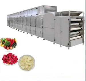 Industrial Conveyor Belt Type Microwave Herb Leaves Dryer/Microwave Tea Drying Machine